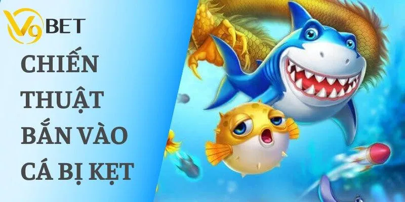 Chiến thuật bắn vào cá bị kẹt